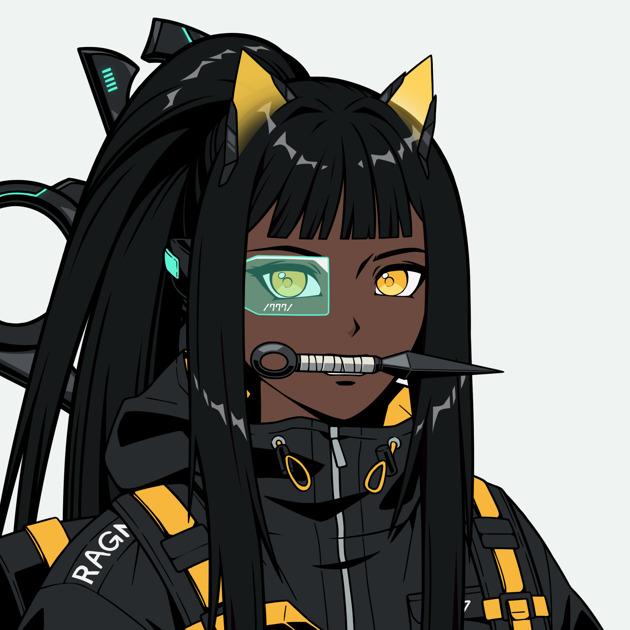 Ronin #3744